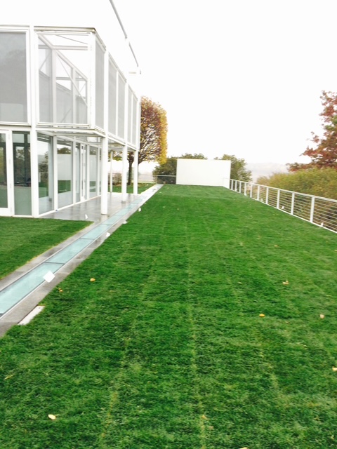 Hudson Grass Flat Roof
